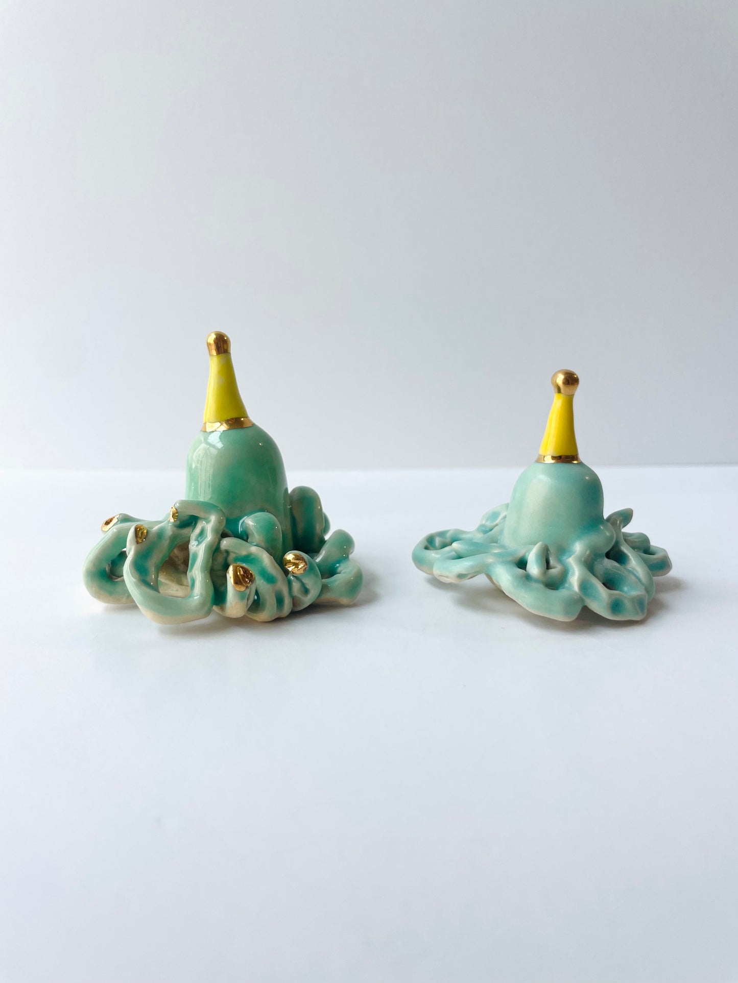 Octopus Wishkeeper