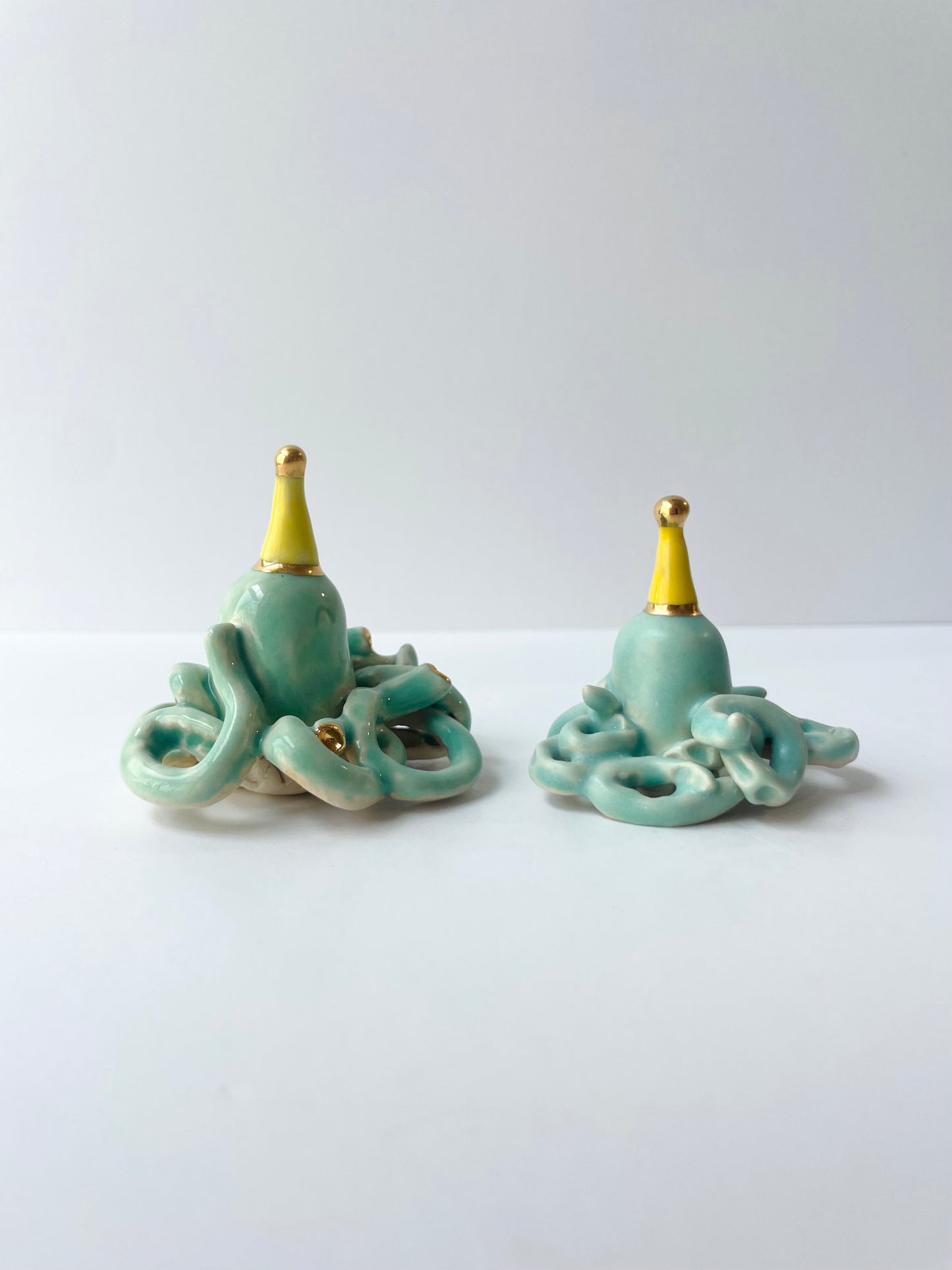 Octopus Wishkeeper