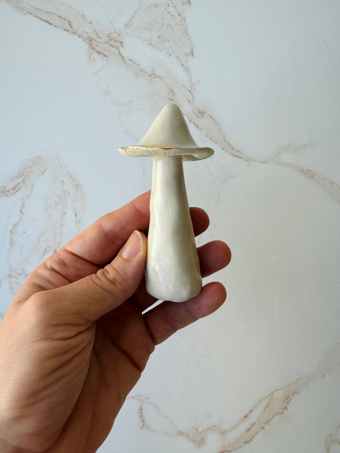 Champignon Mushrooms