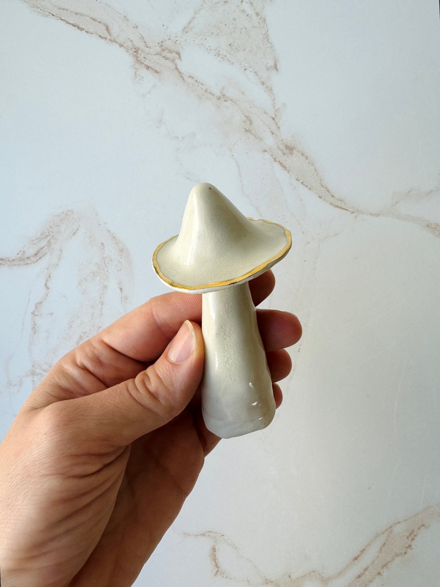 Champignon Mushrooms