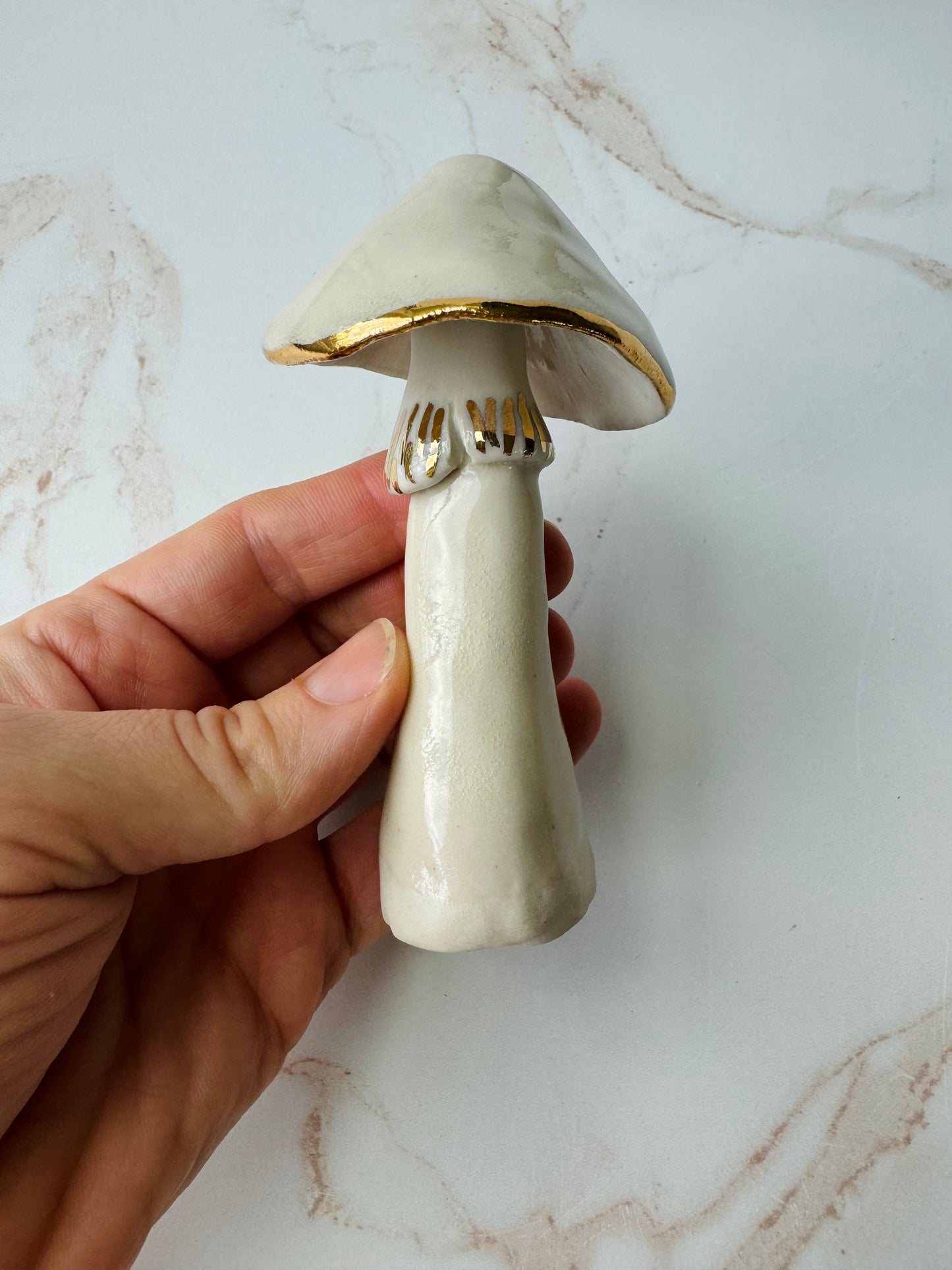 Champignon Mushrooms