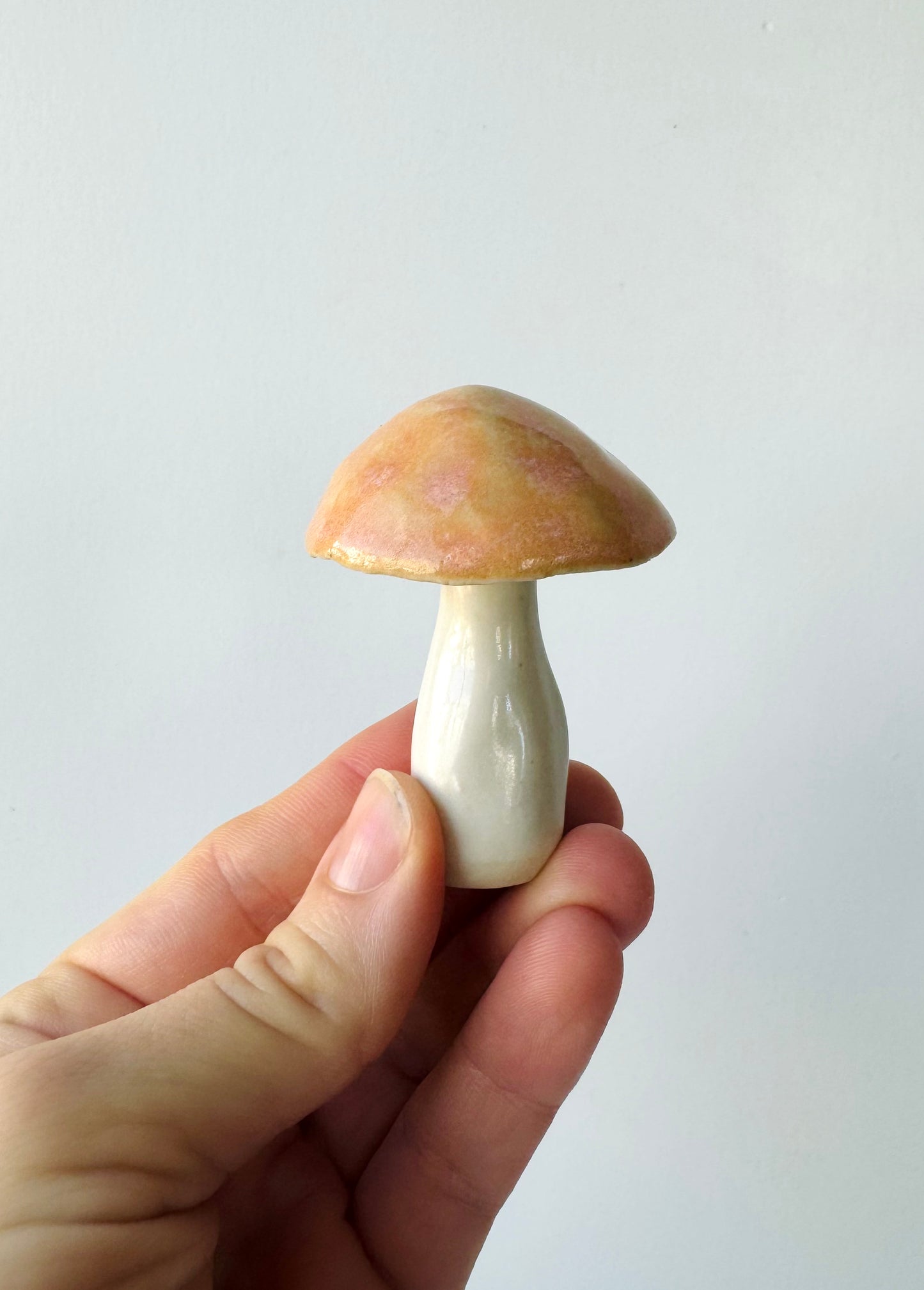 Seconds on Mushrooms