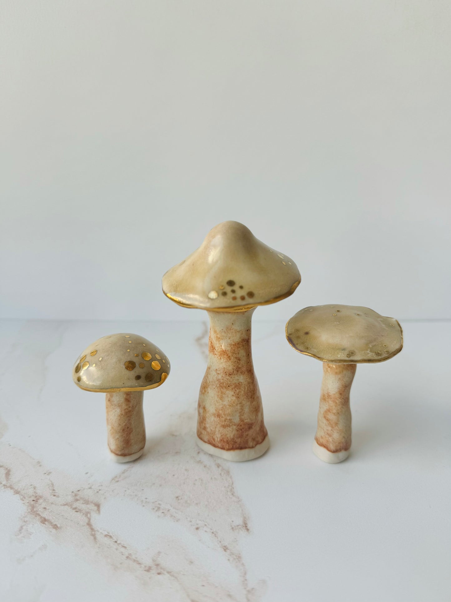 Forager Mushrooms