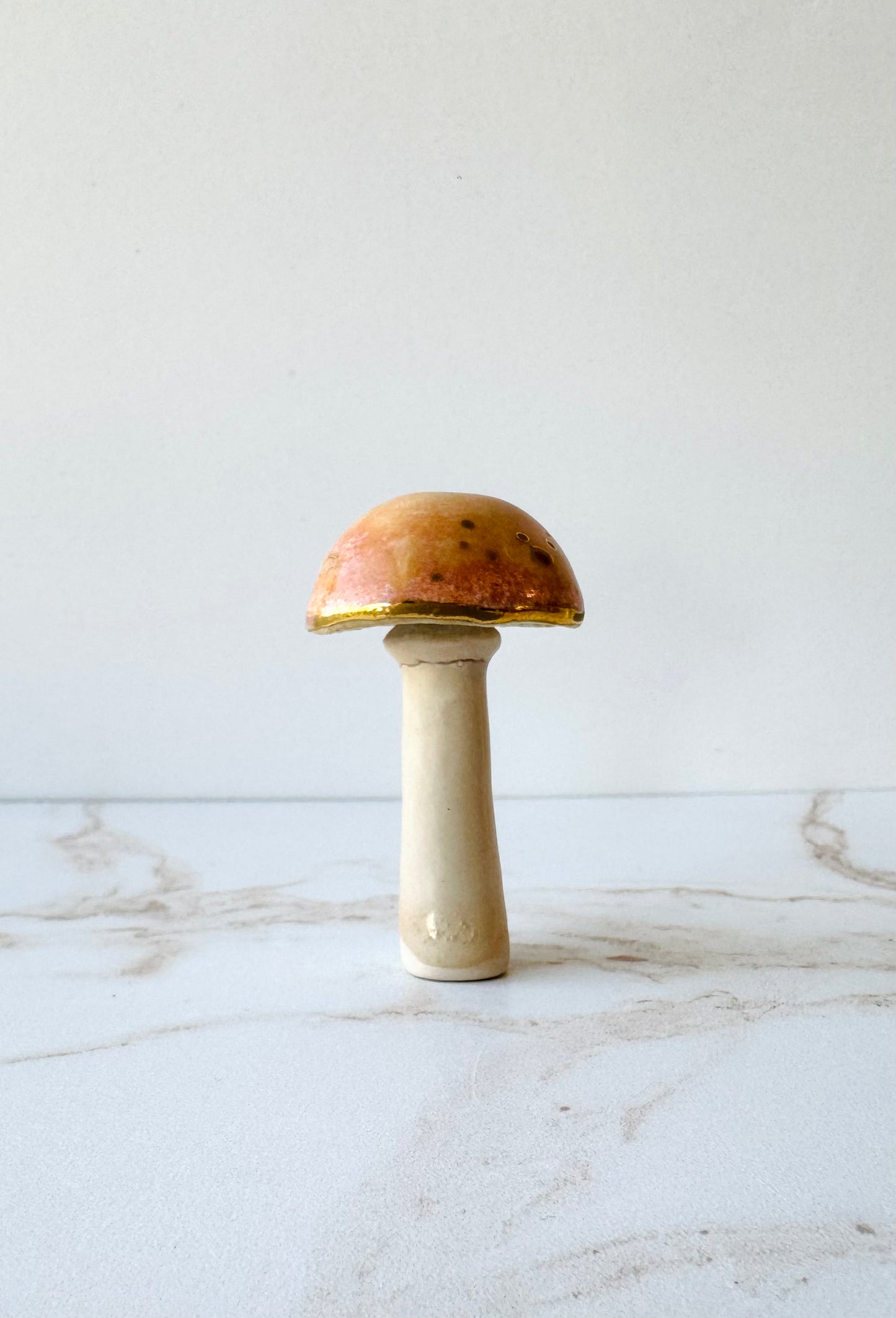 Enchanted Mushroom Series