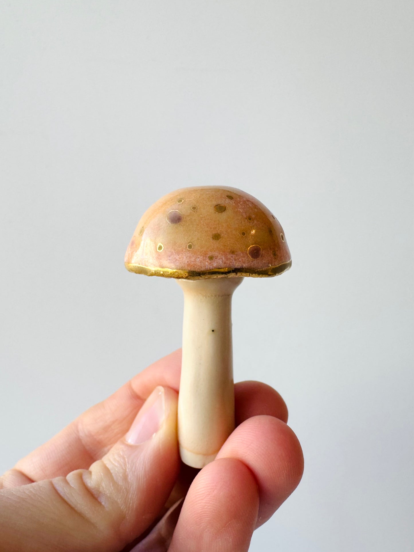 Enchanted Mushroom Series