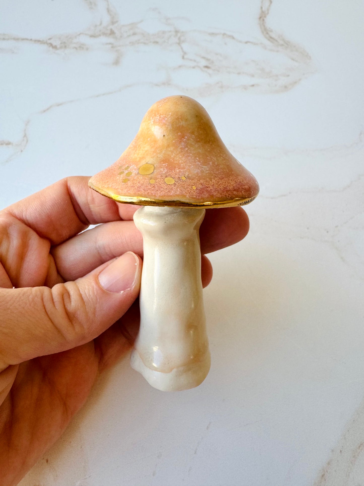 Enchanted Mushroom Series