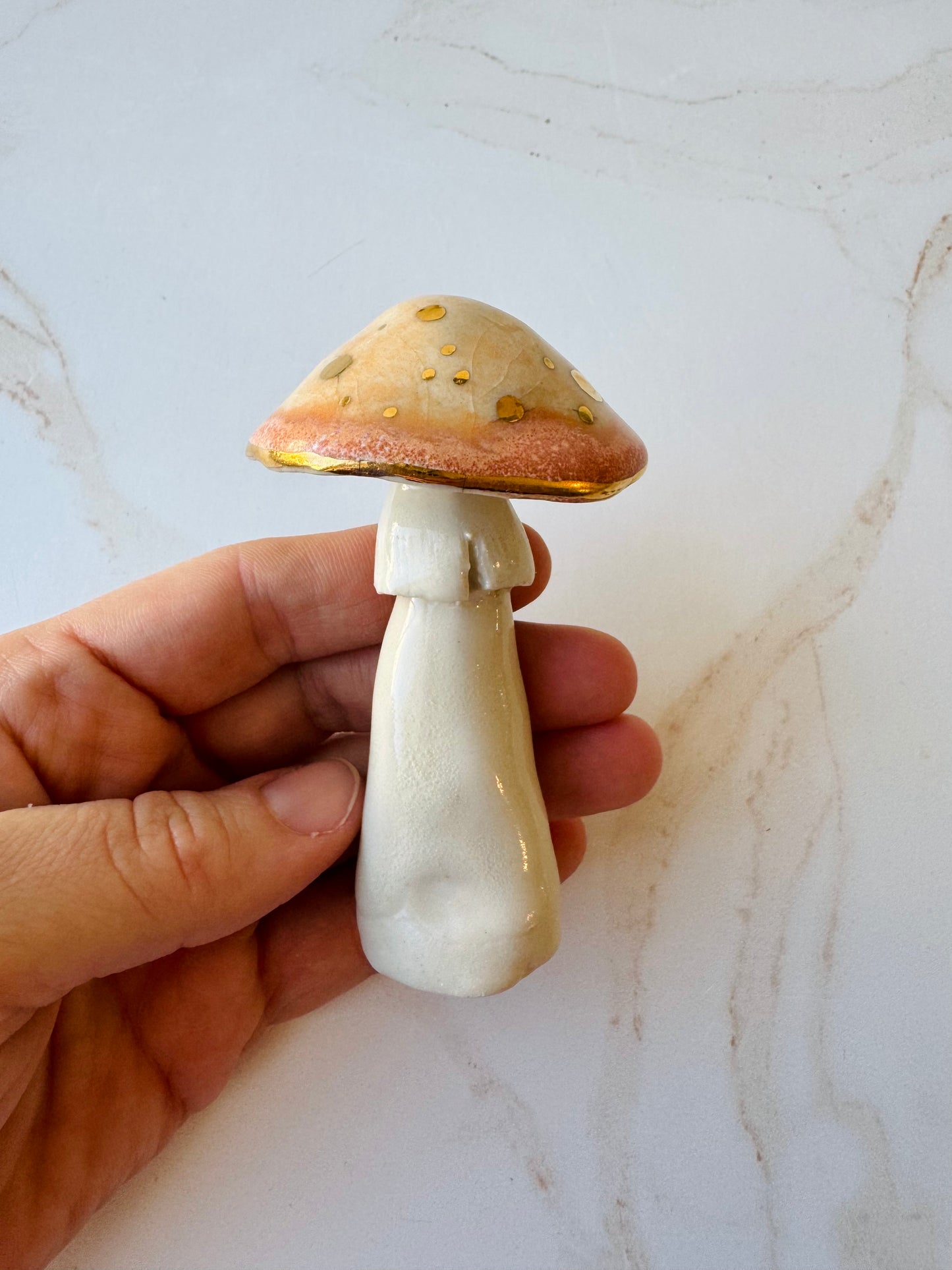 Enchanted Mushroom Series