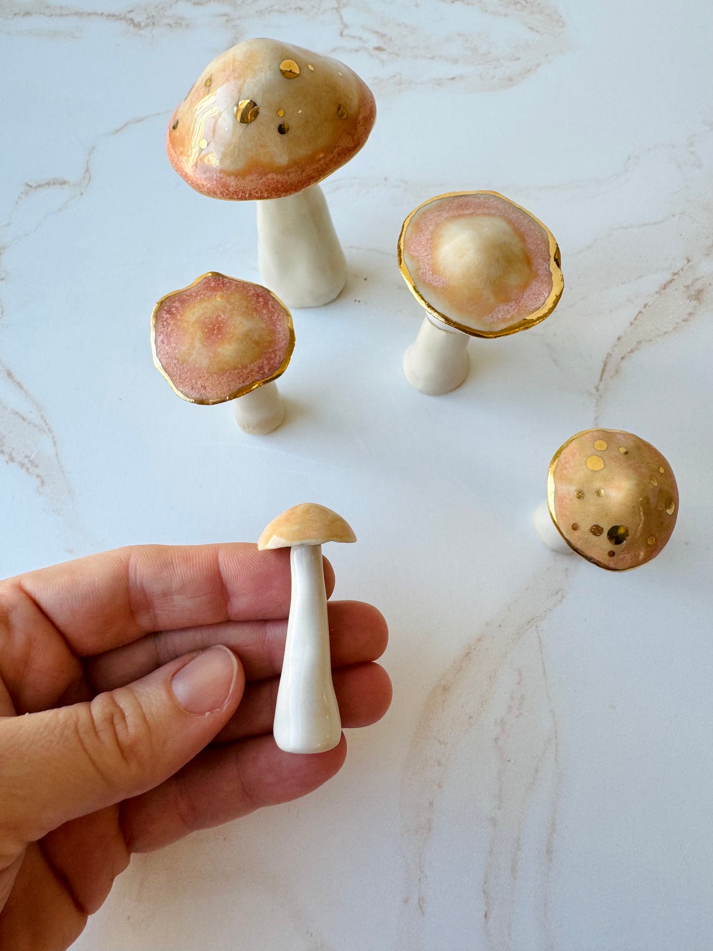 Enchanted Mushroom Series