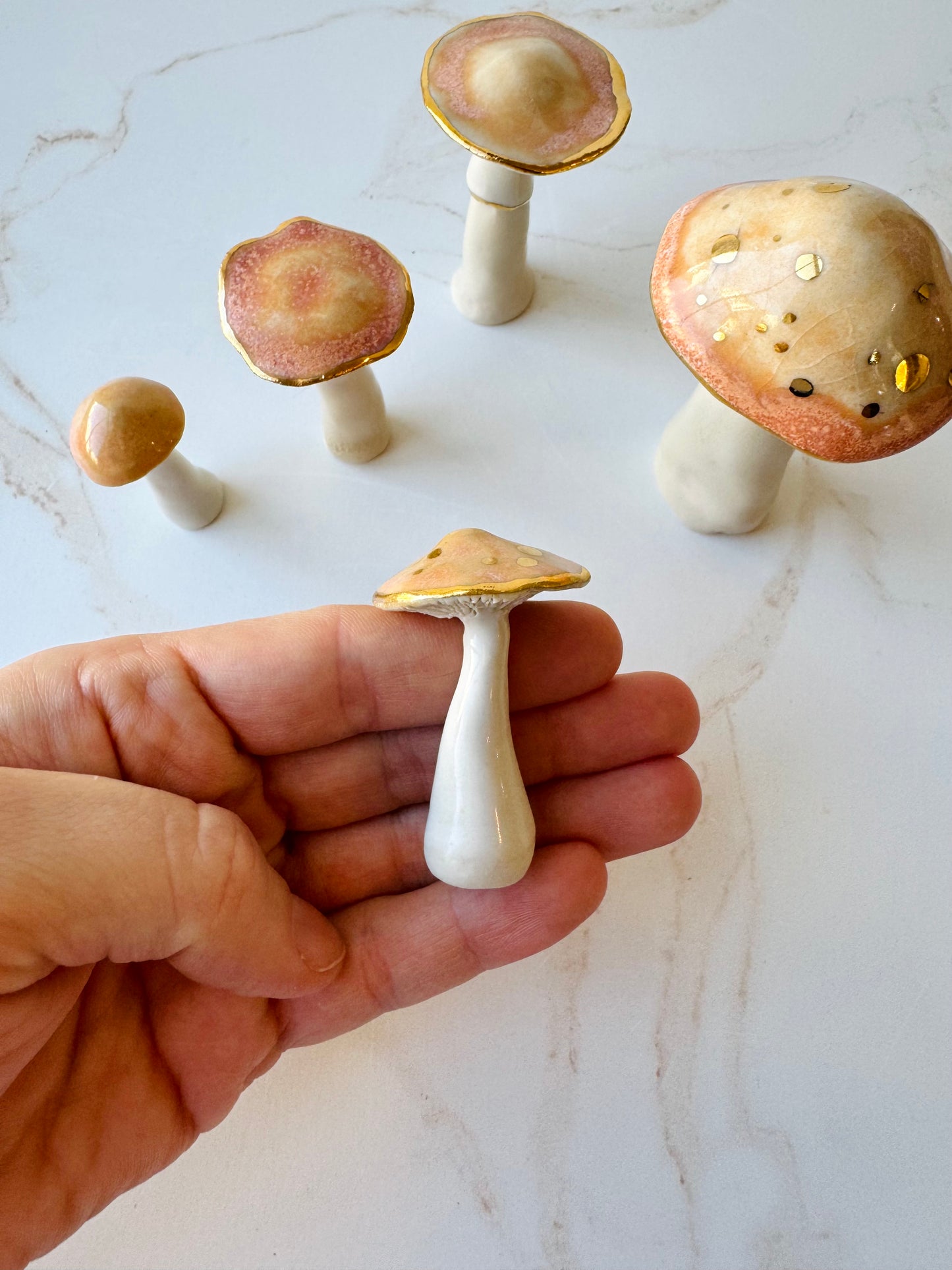 Enchanted Mushroom Series