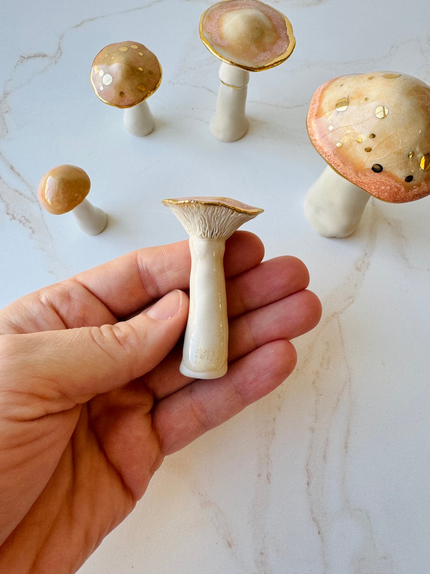 Enchanted Mushroom Series