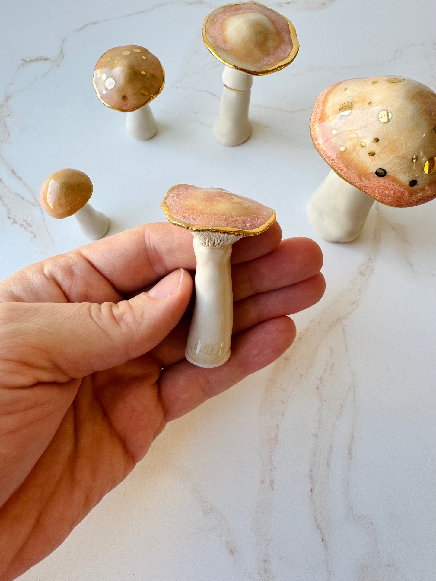 Enchanted Mushroom Series