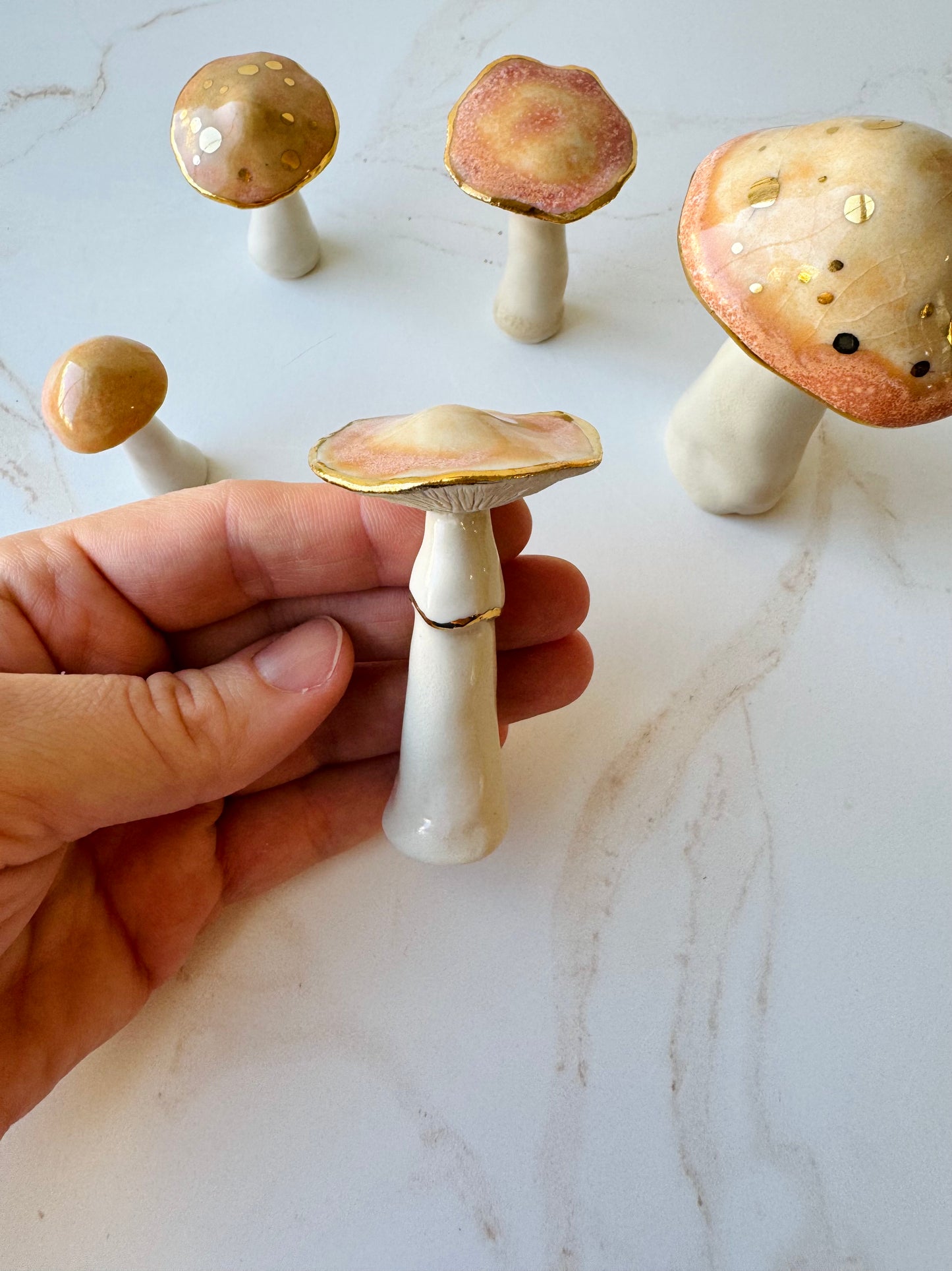 Enchanted Mushroom Series
