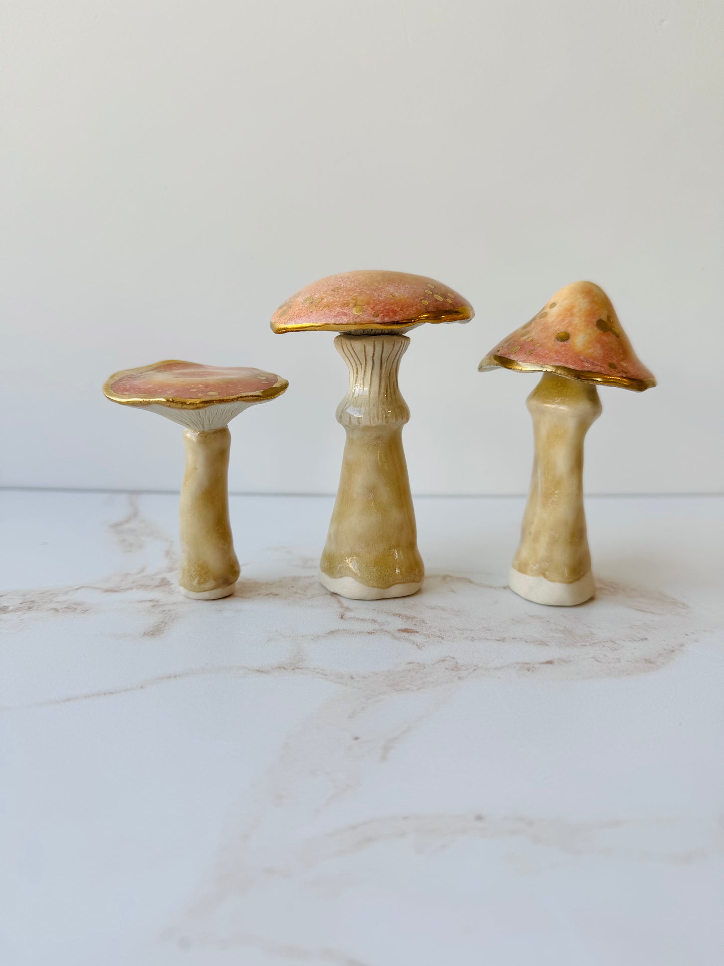 Enchanted Mushroom Series