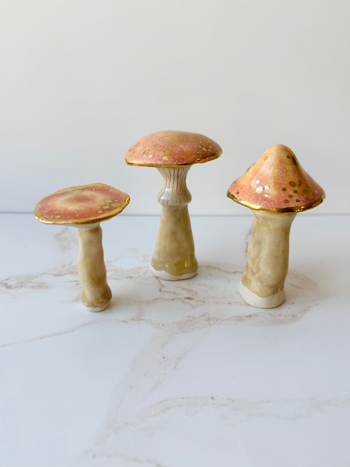Enchanted Mushroom Series