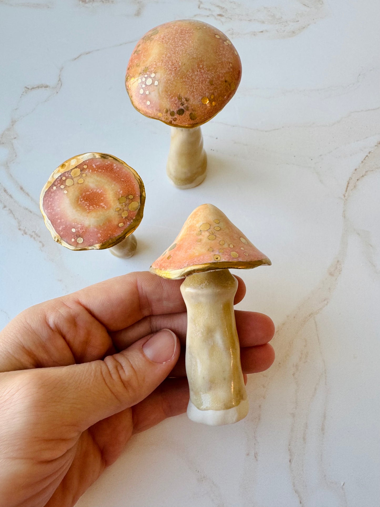Enchanted Mushroom Series