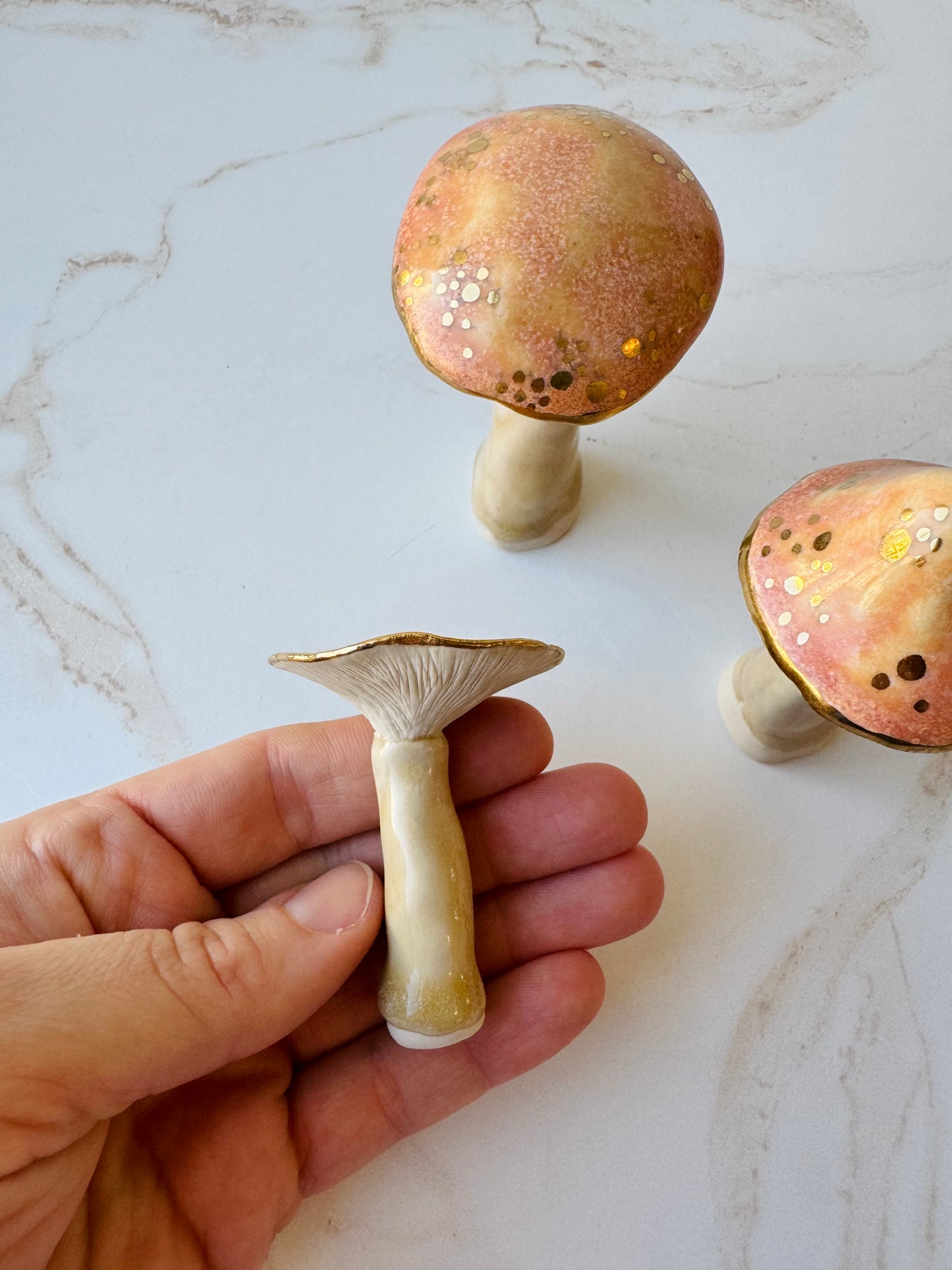 Enchanted Mushroom Series