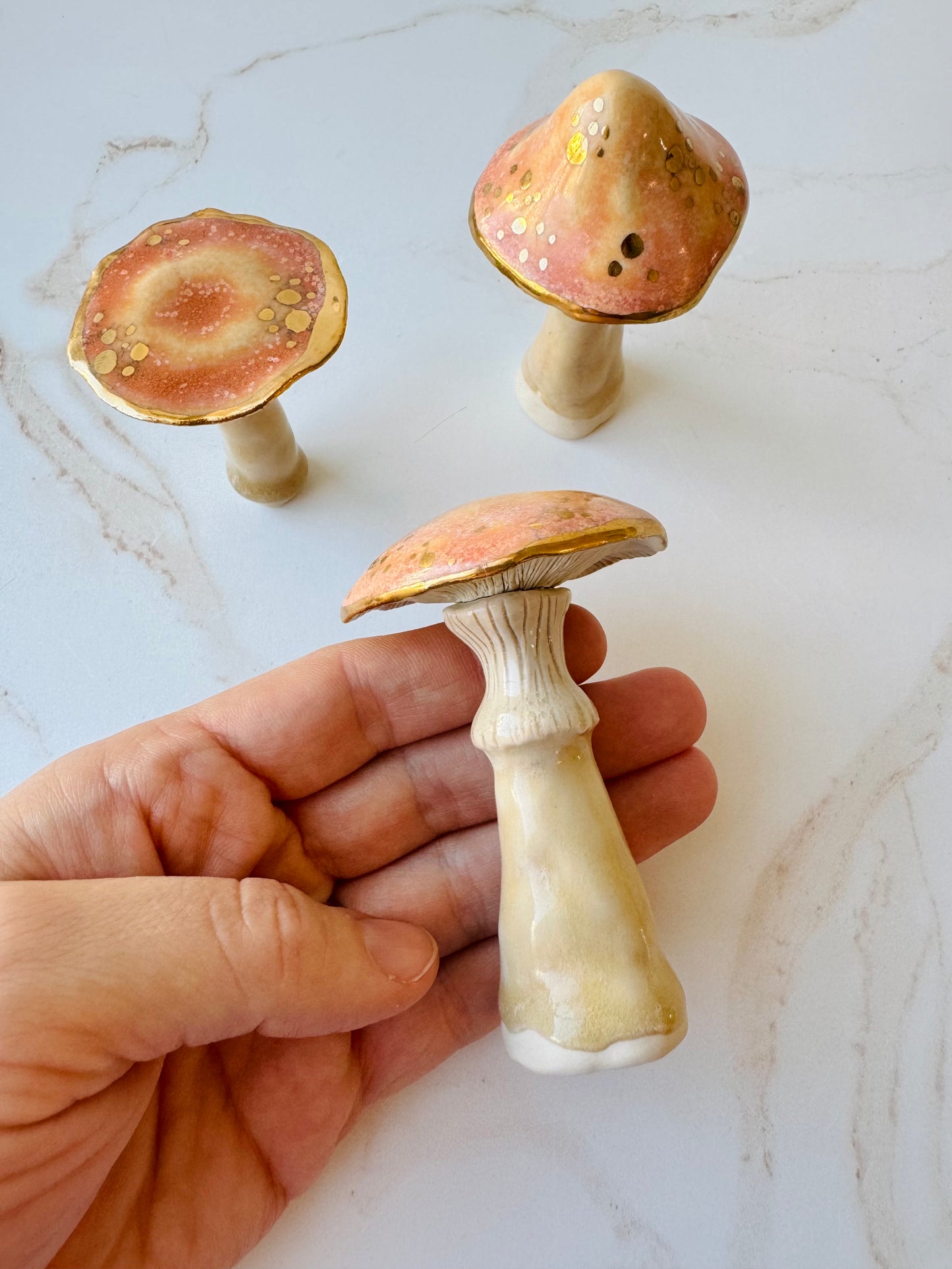 Enchanted Mushroom Series