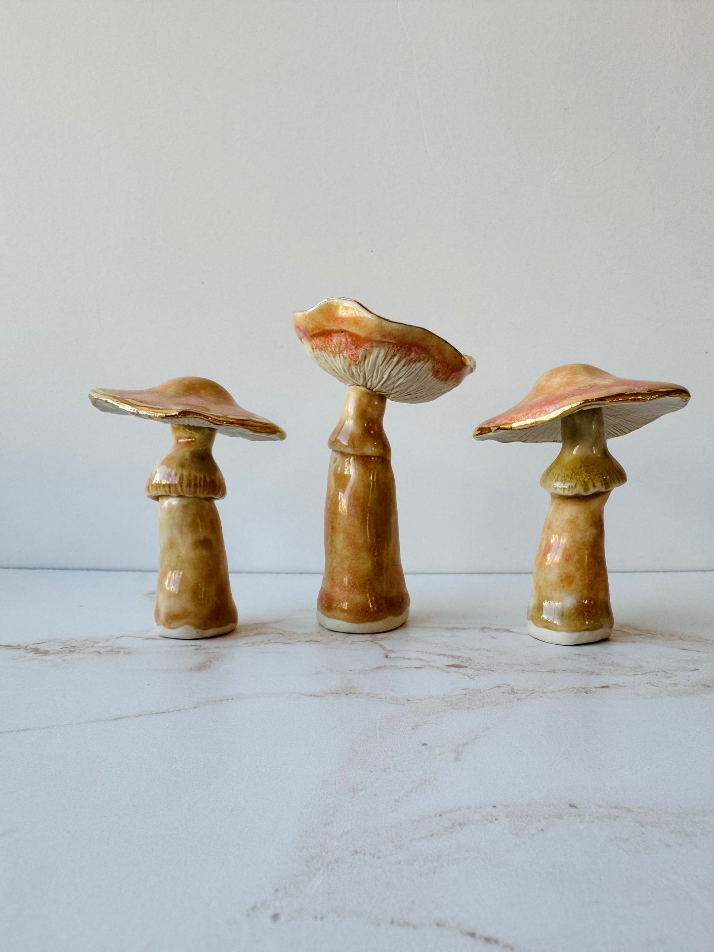 Enchanted Mushroom Series