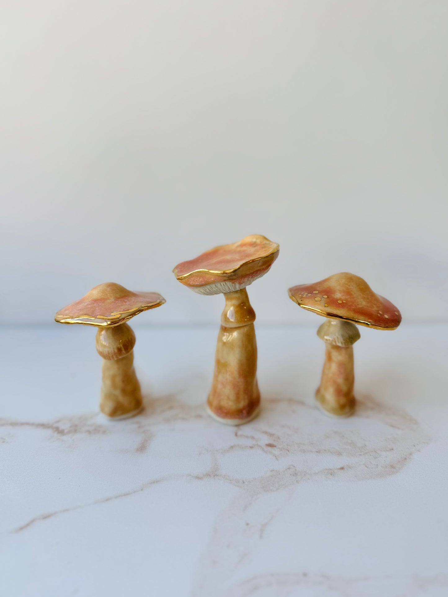 Enchanted Mushroom Series
