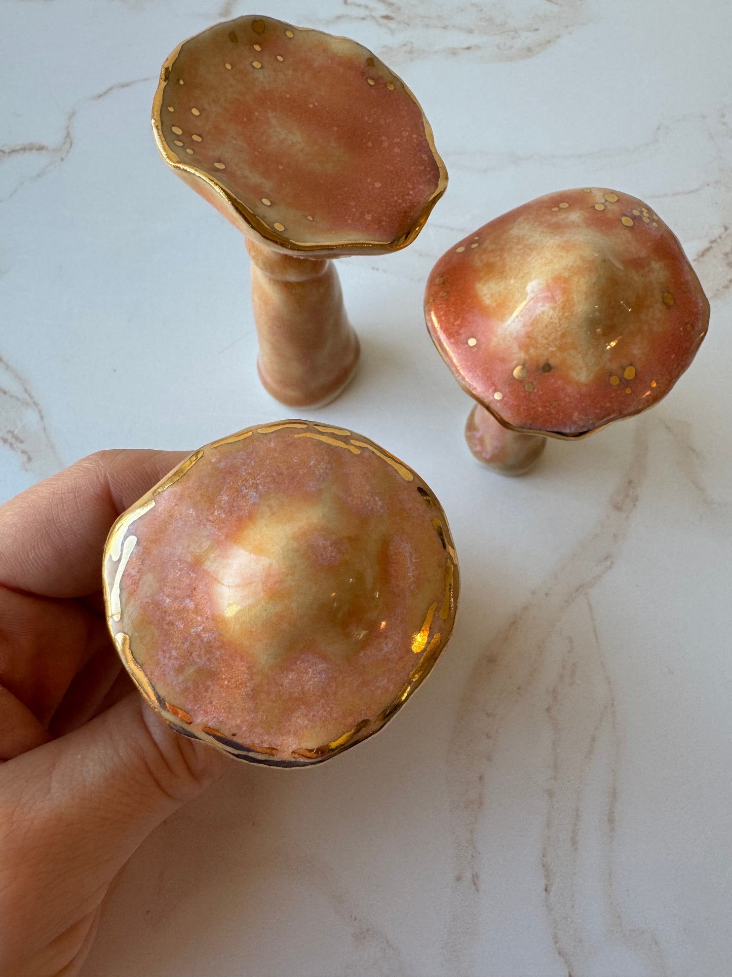 Enchanted Mushroom Series