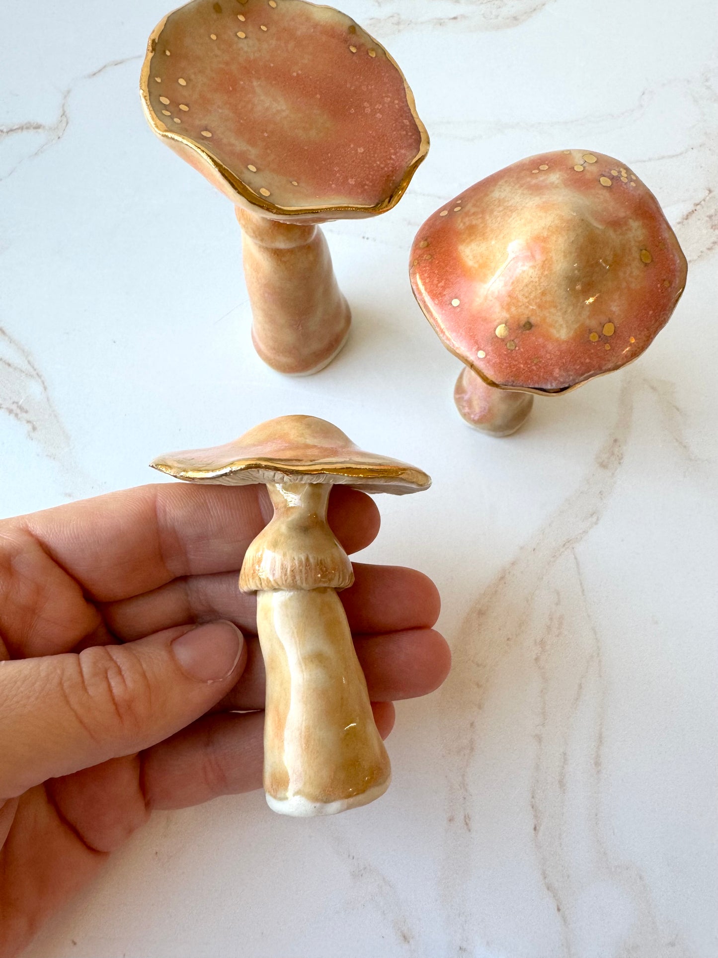 Enchanted Mushroom Series