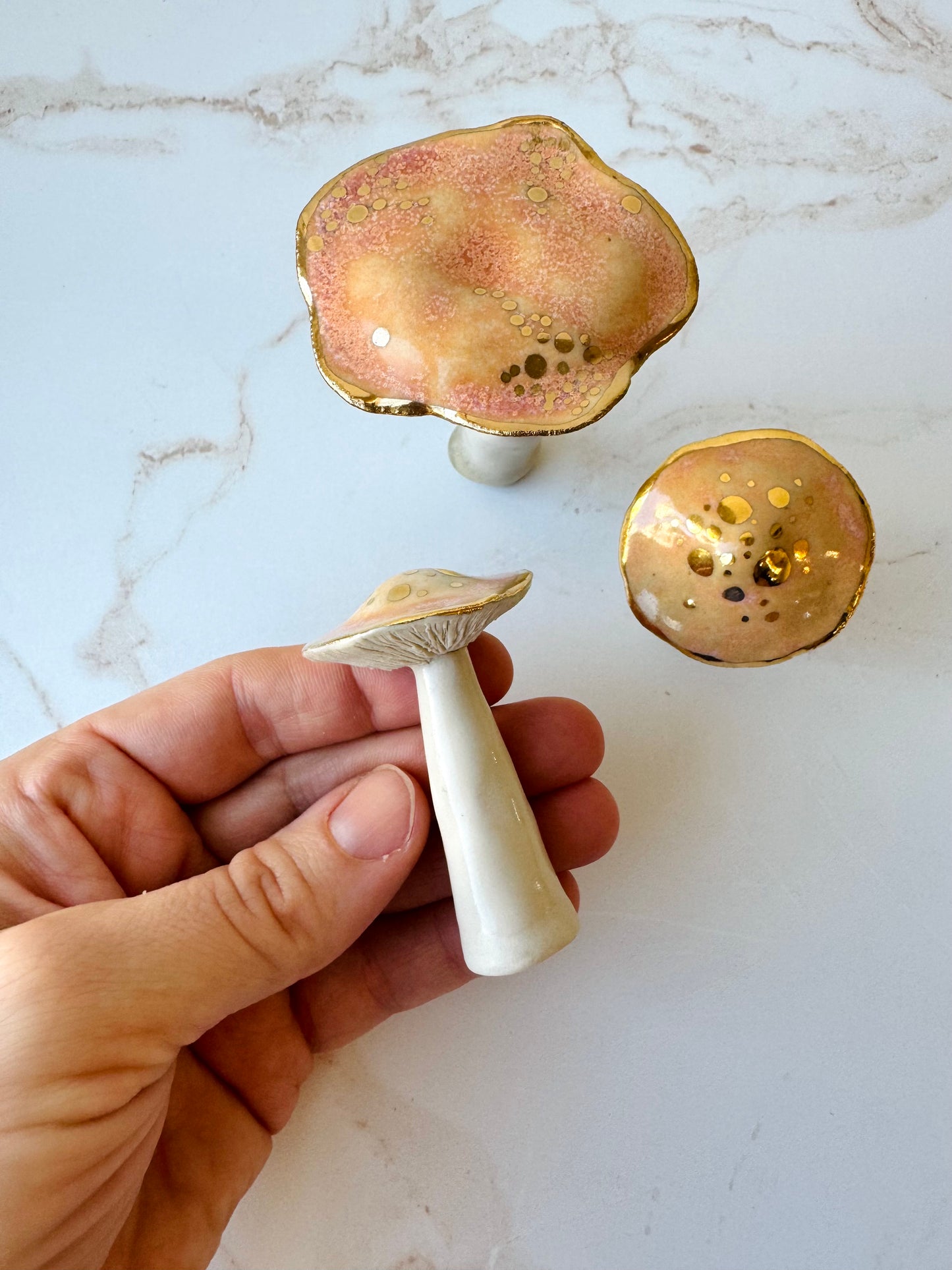 Enchanted Mushroom Series