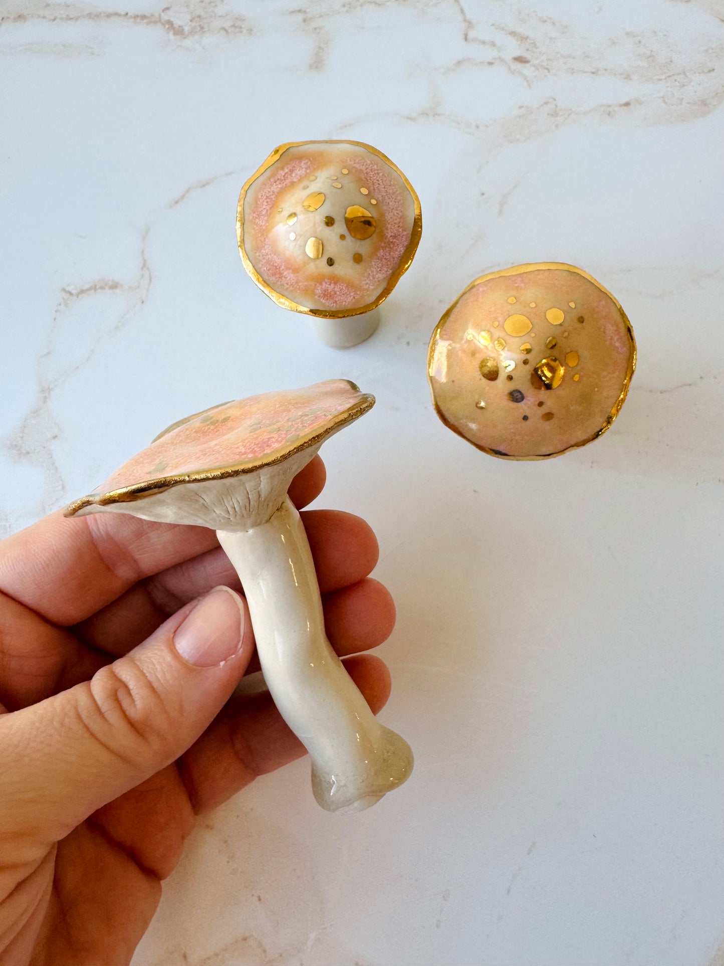 Enchanted Mushroom Series