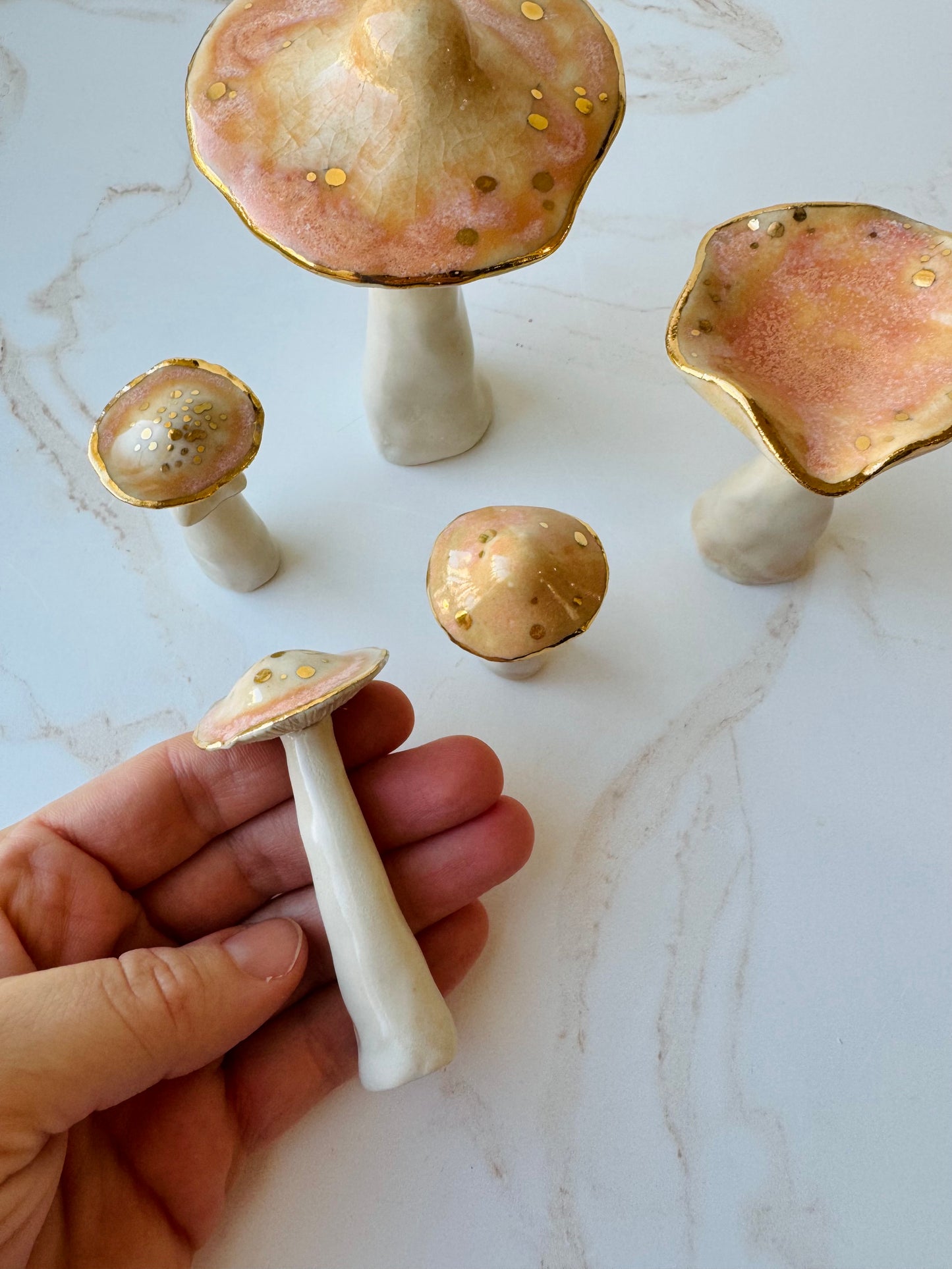 Enchanted Mushroom Series